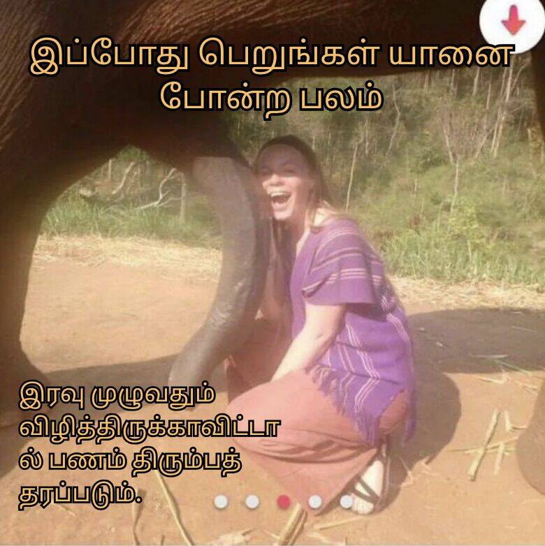 யானை போன்ற பலம்