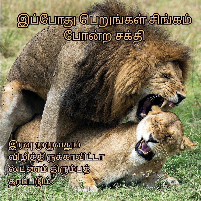 சிங்கம் போன்ற சக்தி